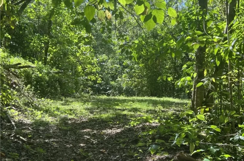 Development Land for sale in Uvita Costa Rica