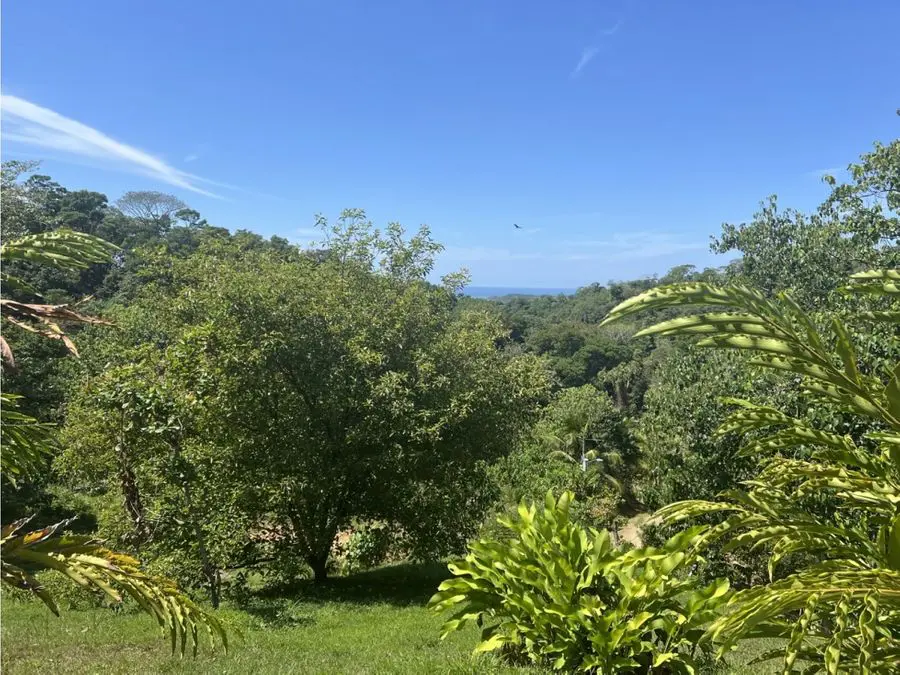 Development Land for sale in Uvita Costa Rica