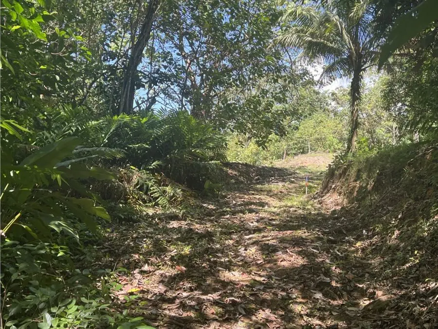 Development Land for sale in Uvita Costa Rica