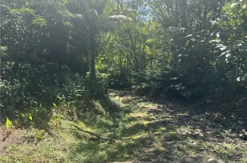 Development Land for sale in Uvita Costa Rica