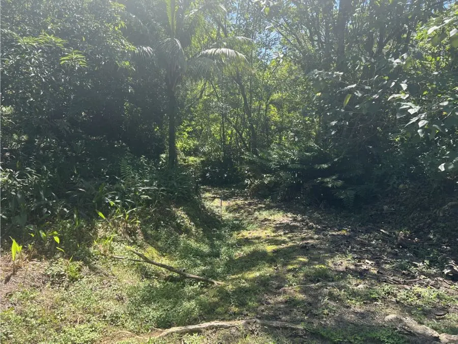 Development Land for sale in Uvita Costa Rica