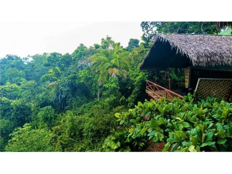 CommercialHotel - B&B for sale in Puerto Jimenez Costa Rica