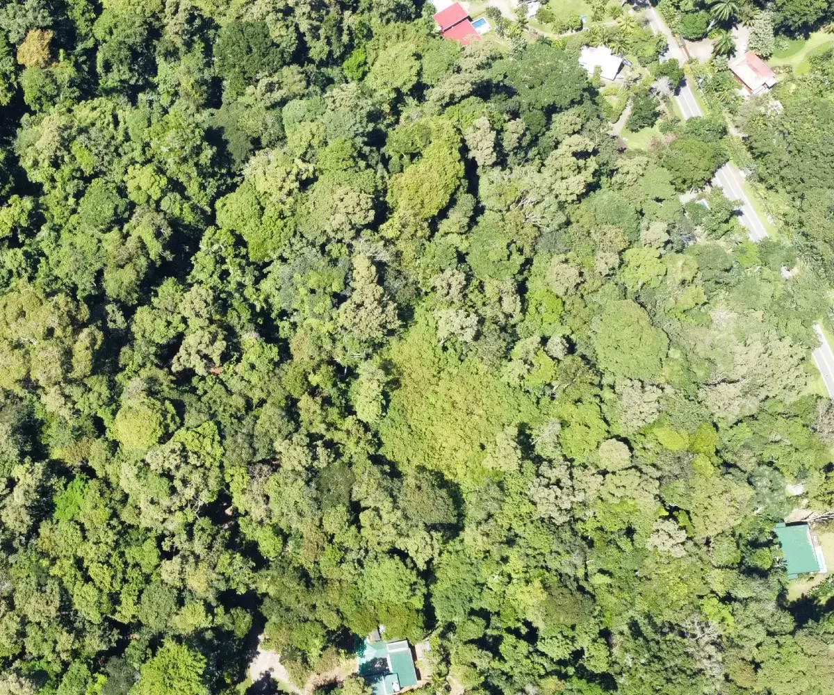 Building Lots for sale in Punta Uva Costa Rica