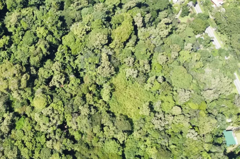 Building Lots for sale in Punta Uva Costa Rica