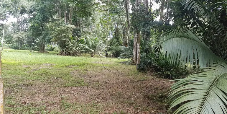 Caribbean Playa Negra Makua Lots