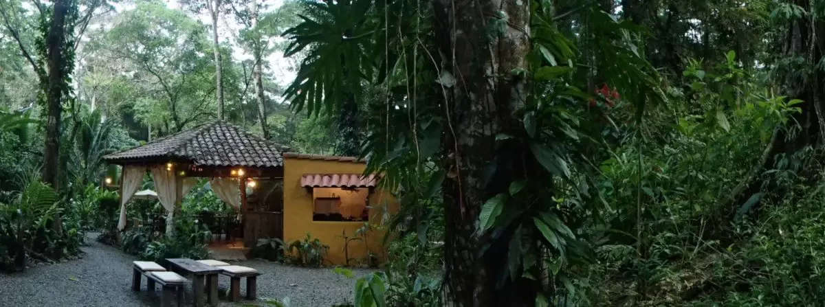 Homes for sale in Playa Grande Costa Rica