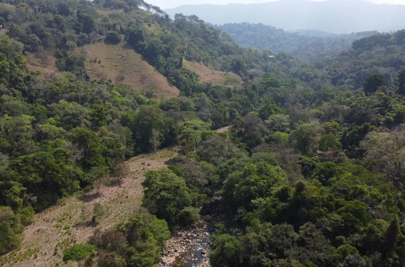 Farms and Ranches for sale in Atenas Costa Rica