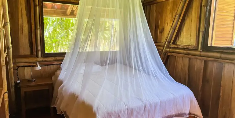 Homes for sale in Cahuita Costa Rica