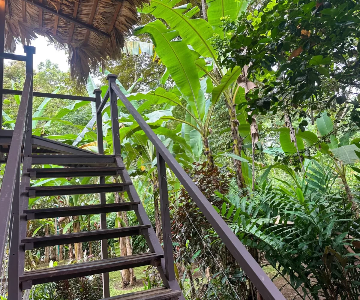 Homes for sale in Playa Negra Costa Rica