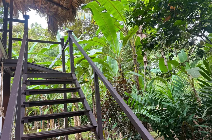 Homes for sale in Playa Negra Costa Rica