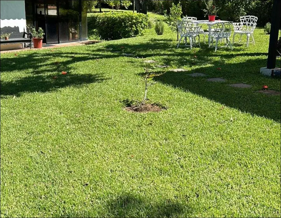 Homes for sale in Ciudad Cariari Costa Rica