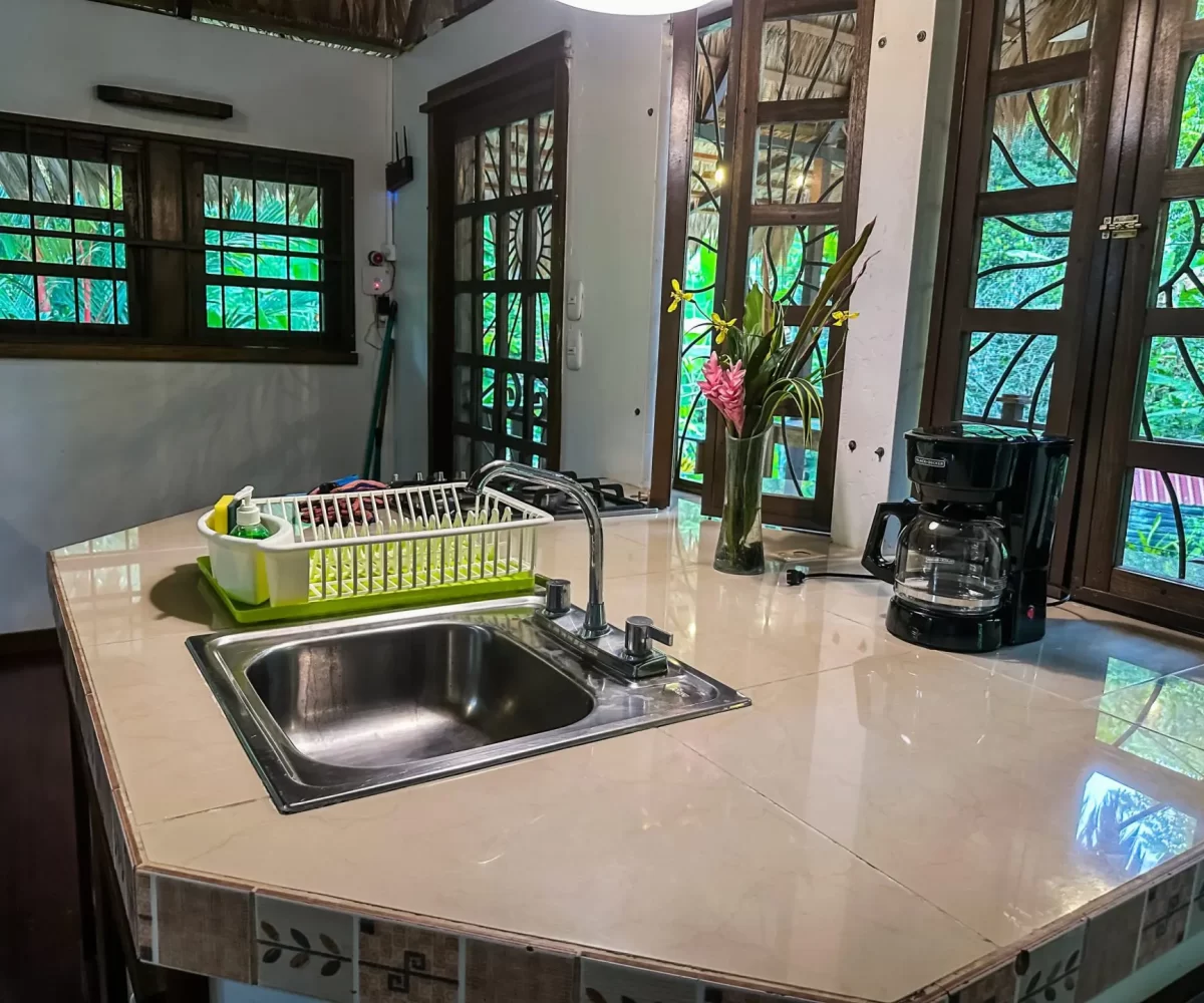 Homes for sale in Playa Negra Costa Rica