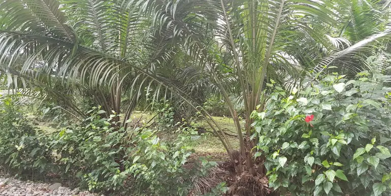 Building Lots for sale in Playa Negra Costa Rica