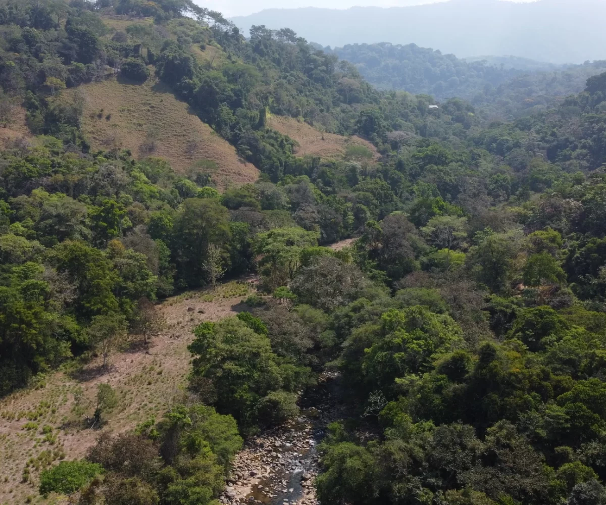 Farms and Ranches for sale in Atenas Costa Rica