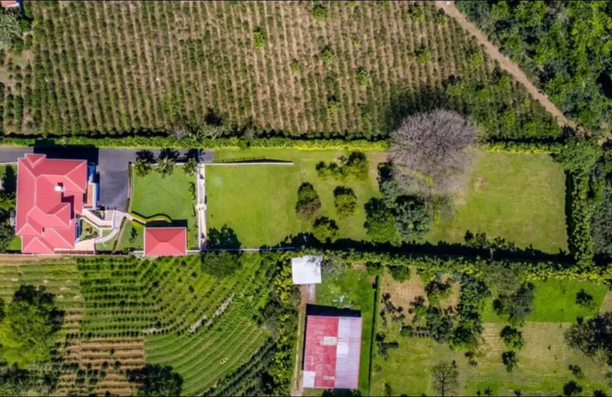 Homes for sale in Grecia Costa Rica