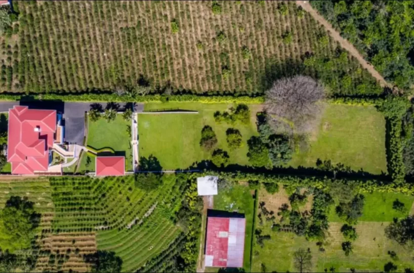 Homes for sale in Grecia Costa Rica