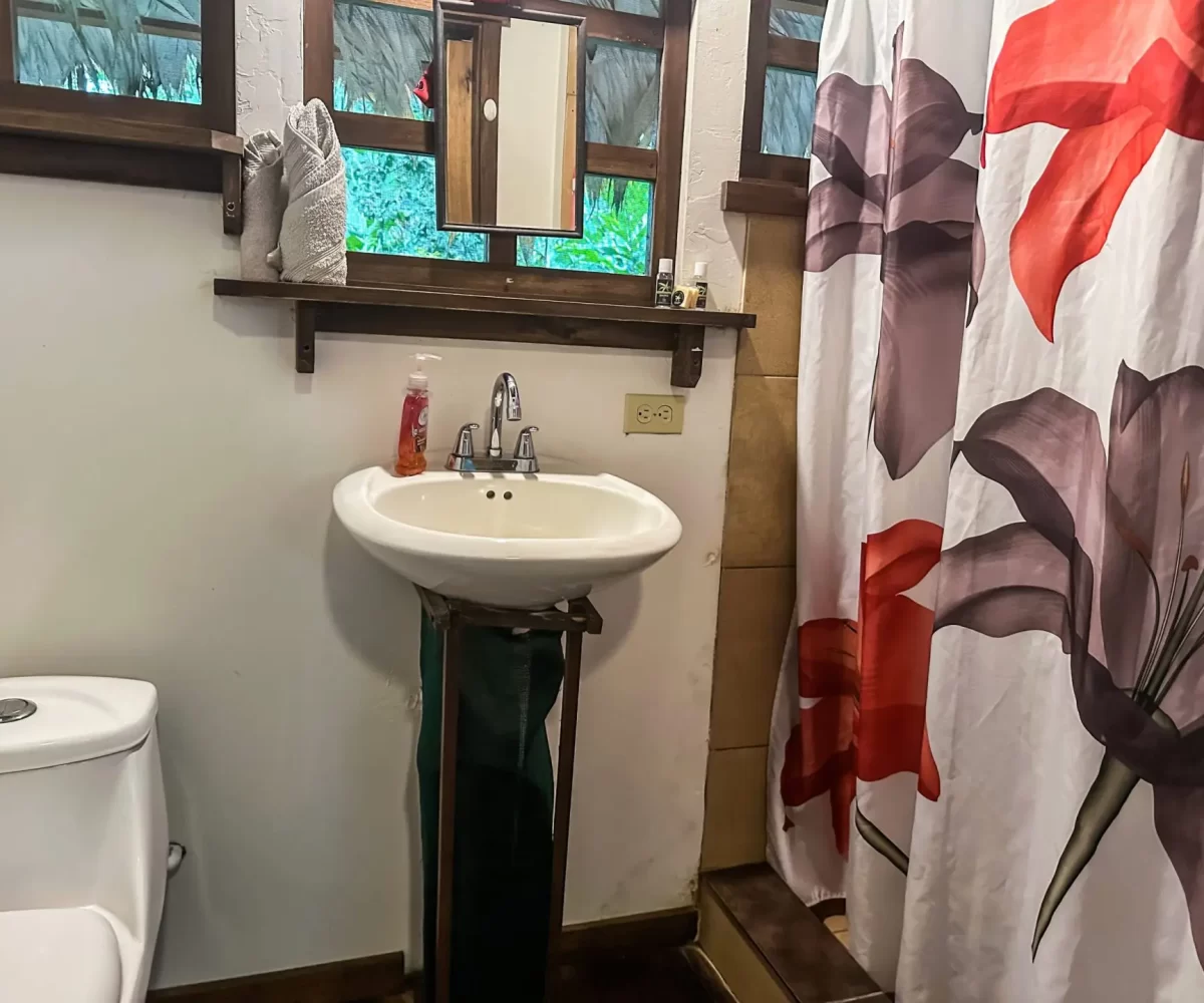 Homes for sale in Playa Negra Costa Rica