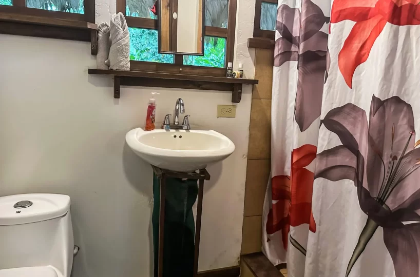 Homes for sale in Playa Negra Costa Rica