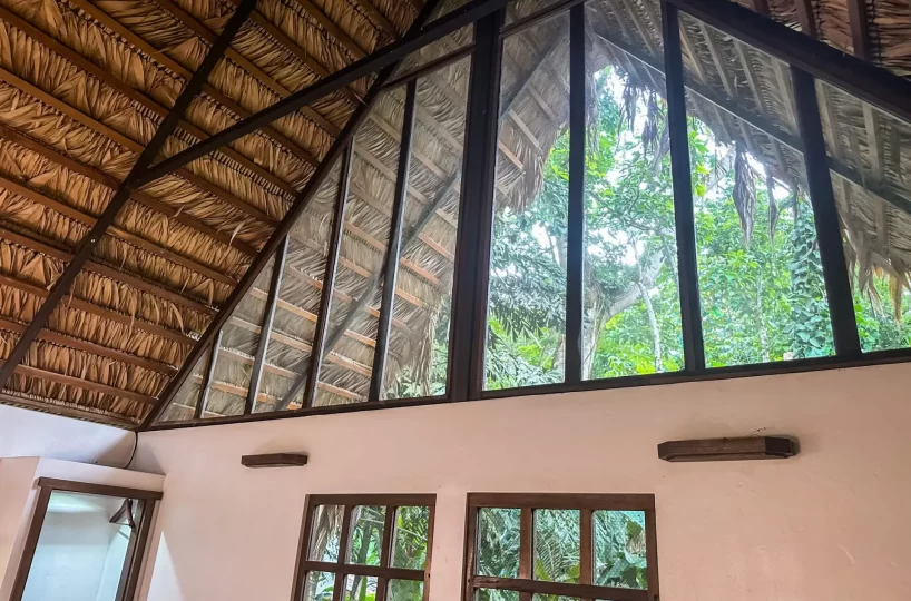 Homes for sale in Playa Negra Costa Rica