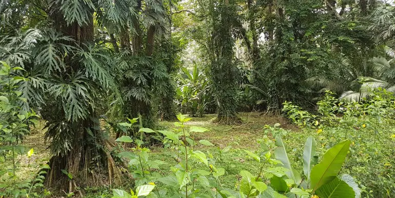 Building Lots for sale in Playa Negra Costa Rica