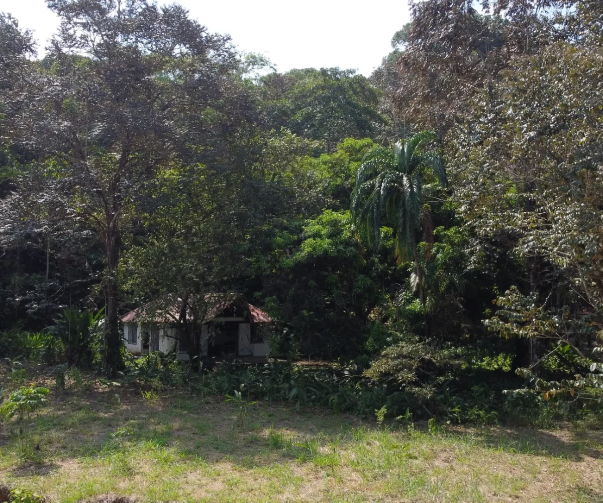 Farms and Ranches for sale in Atenas Costa Rica