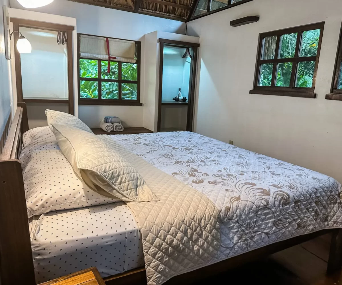 Homes for sale in Playa Negra Costa Rica