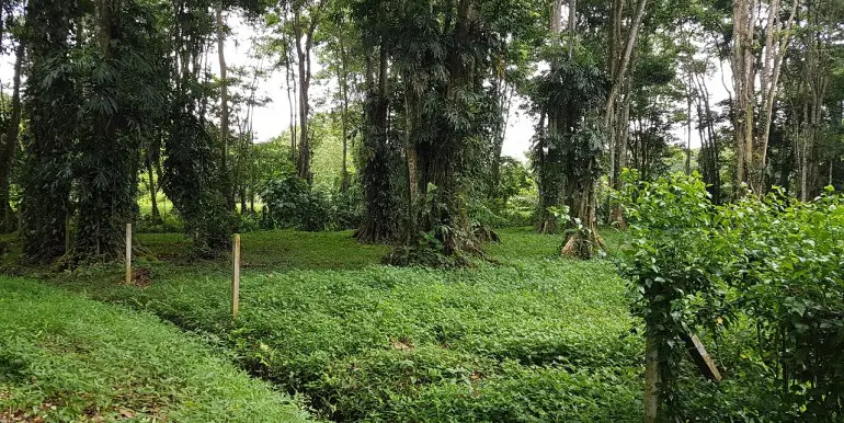 Building Lots for sale in Playa Negra Costa Rica