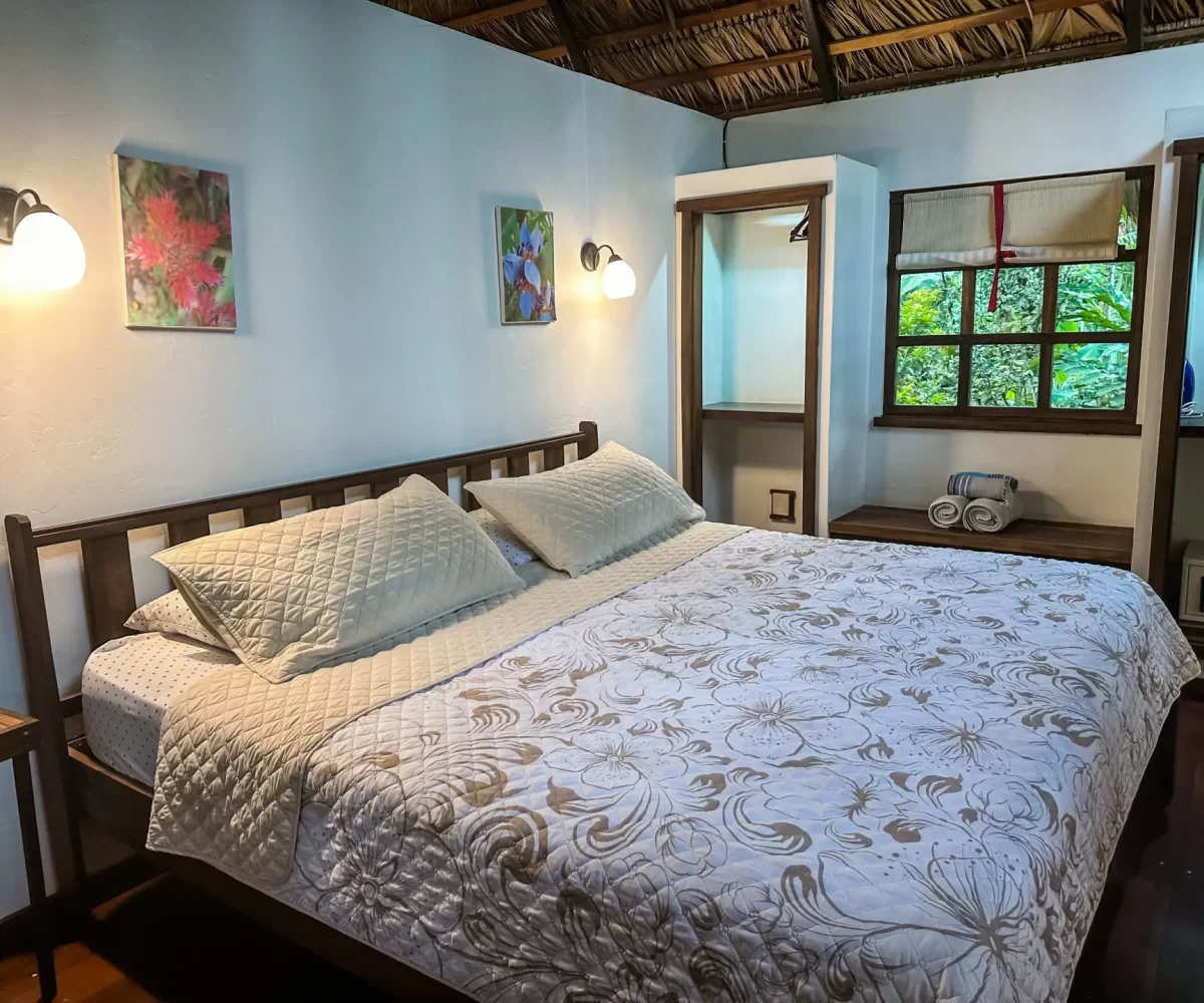 Homes for sale in Playa Negra Costa Rica