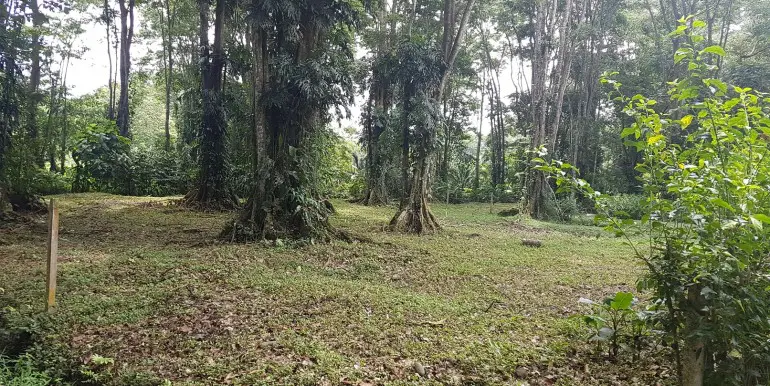 Building Lots for sale in Playa Negra Costa Rica