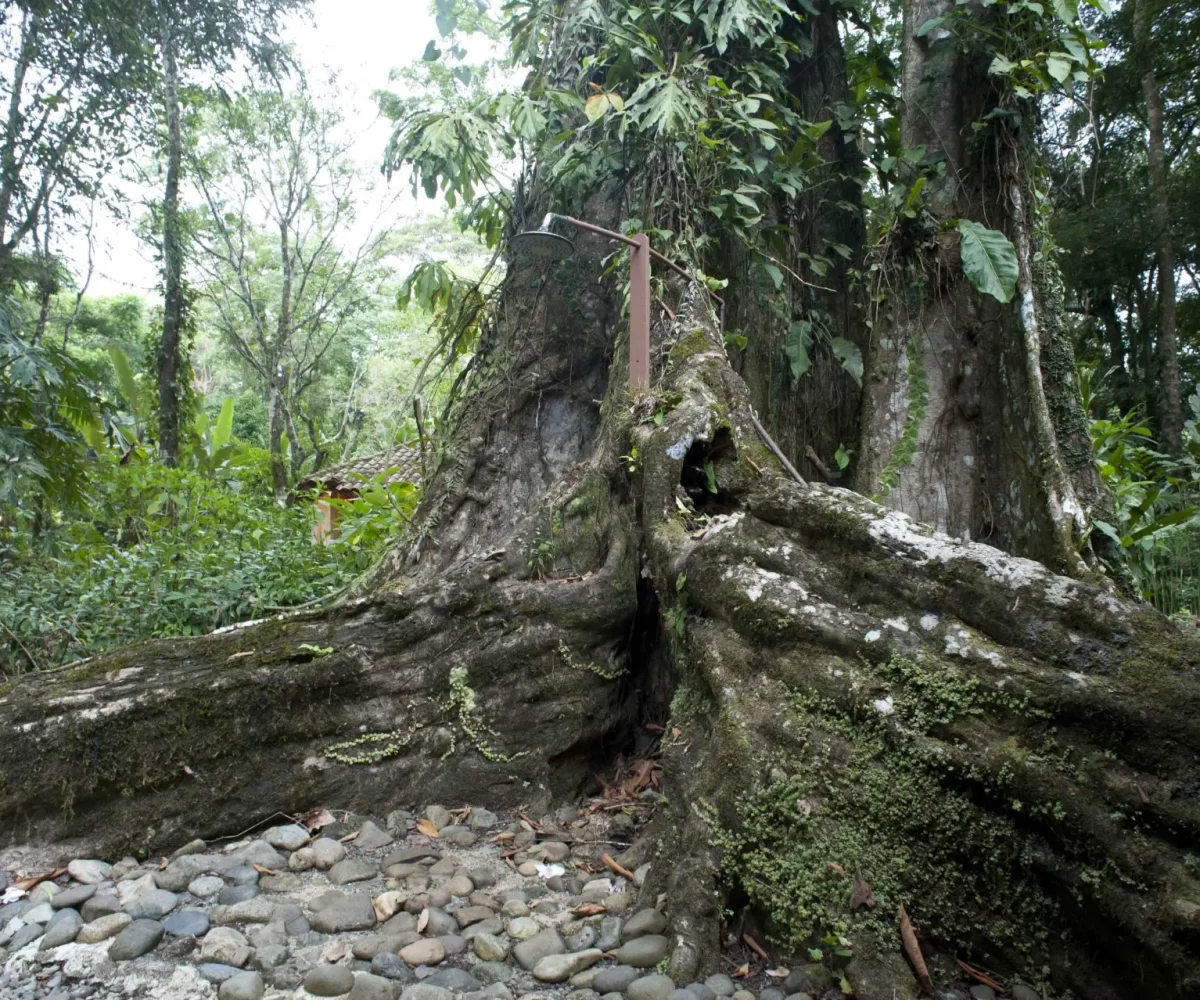 Playa Grande Refugio Grill