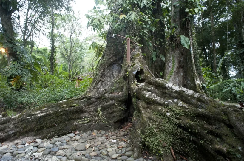 Playa Grande Refugio Grill