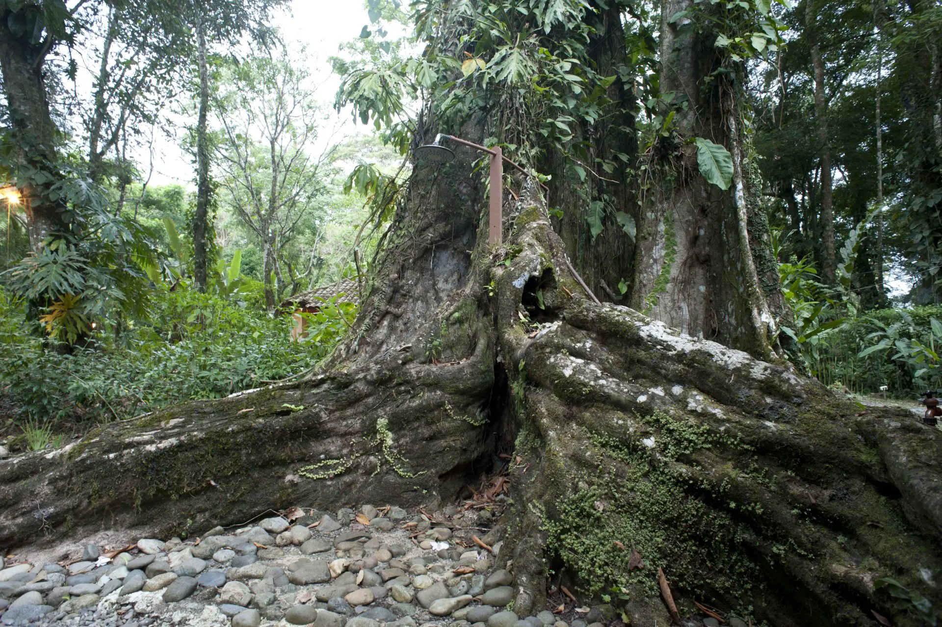 Playa Grande Refugio Grill
