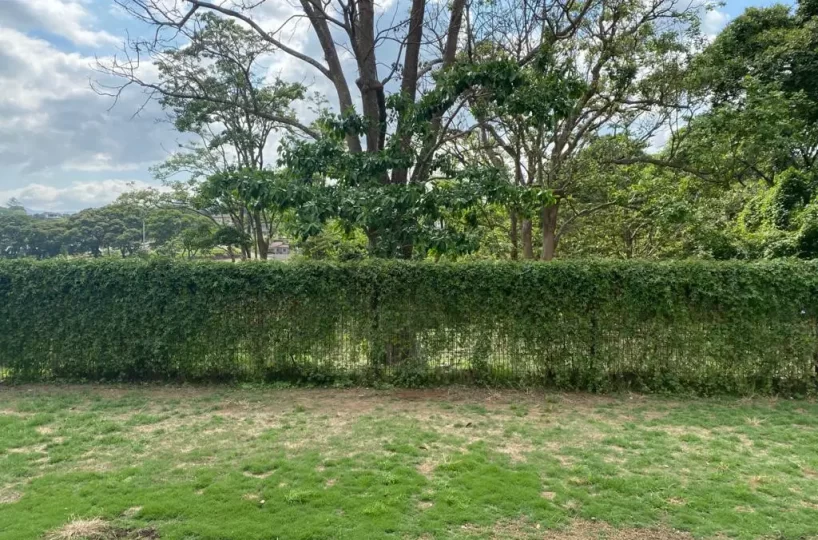 Homes for sale in Grecia Costa Rica