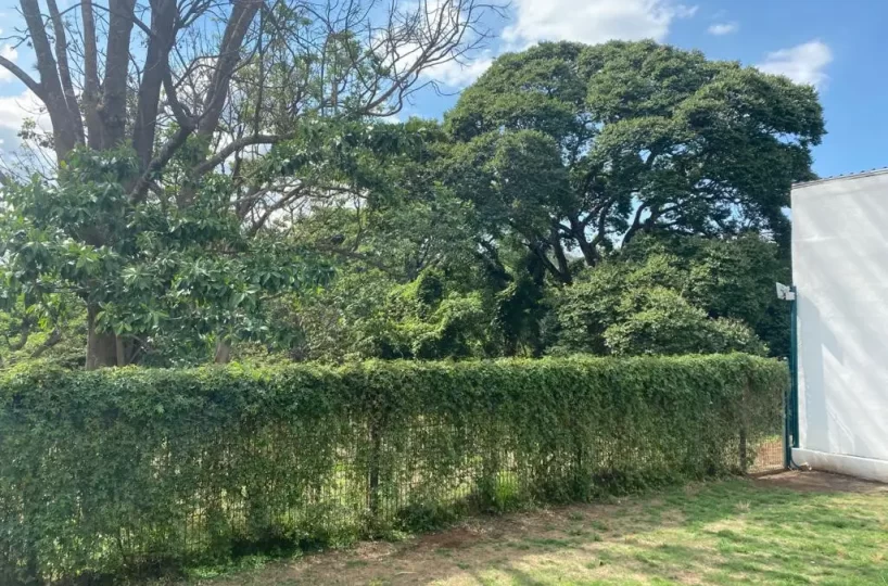 Homes for sale in Grecia Costa Rica