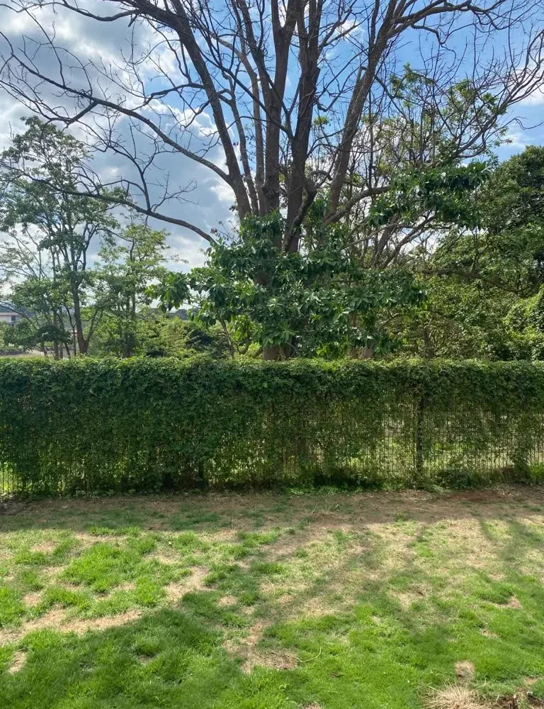 Homes for sale in Grecia Costa Rica