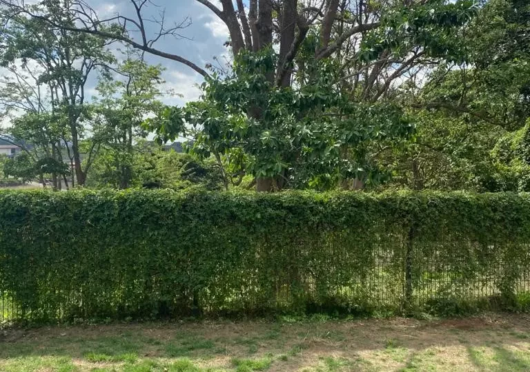 Homes for sale in Grecia Costa Rica