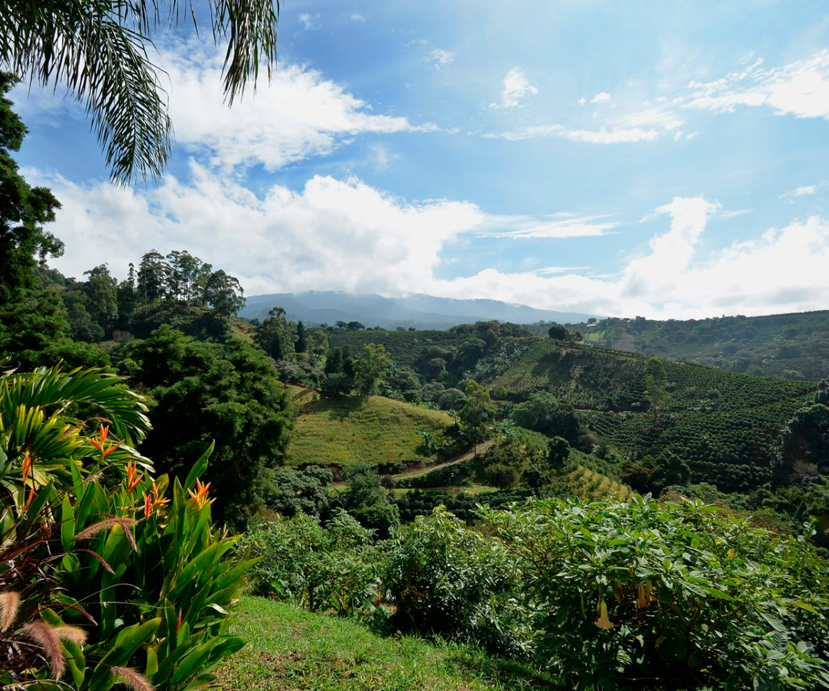 CommercialHomesHotel - B&B for sale in Grecia Costa Rica