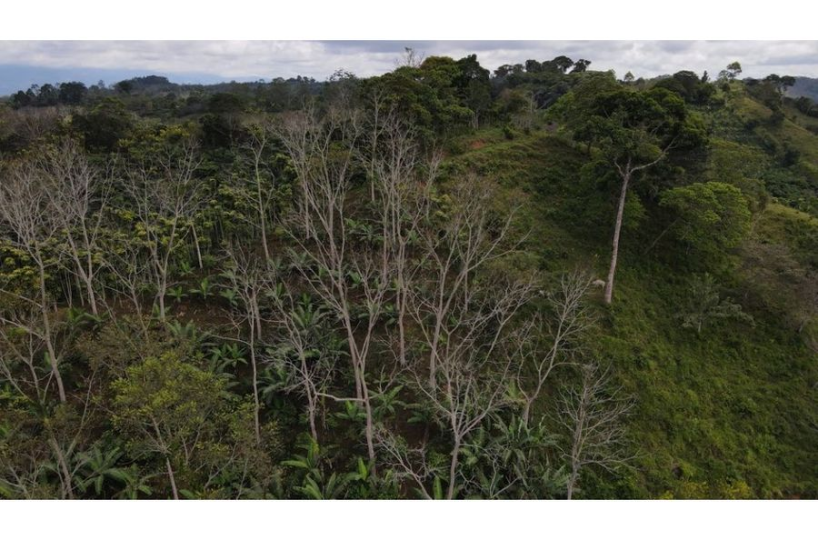 Development Land for sale in San Isidro-Perez Zeledon Costa Rica