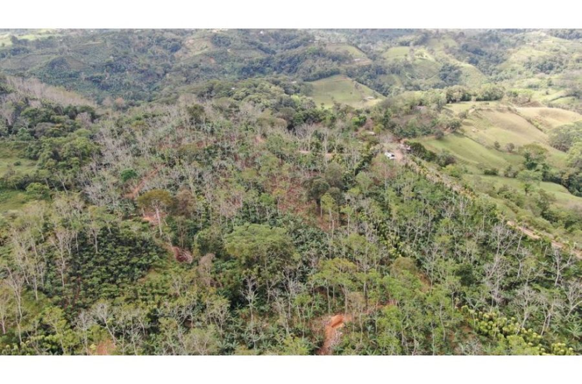 Development Land for sale in San Isidro-Perez Zeledon Costa Rica