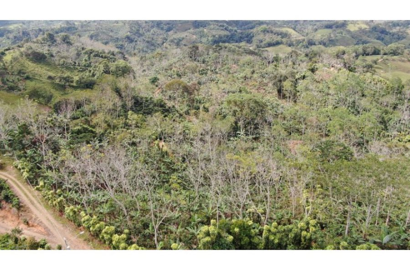 Development Land for sale in San Isidro-Perez Zeledon Costa Rica
