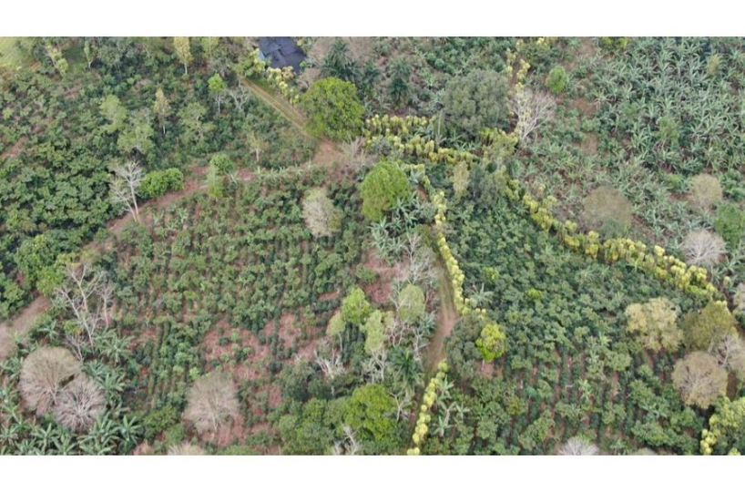 Development Land for sale in San Isidro-Perez Zeledon Costa Rica