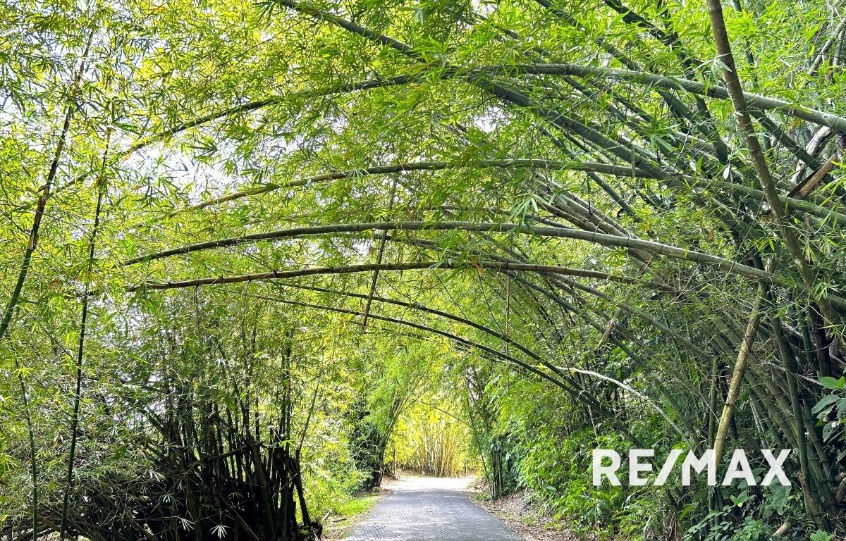 Homes for sale in Punta Leona Costa Rica