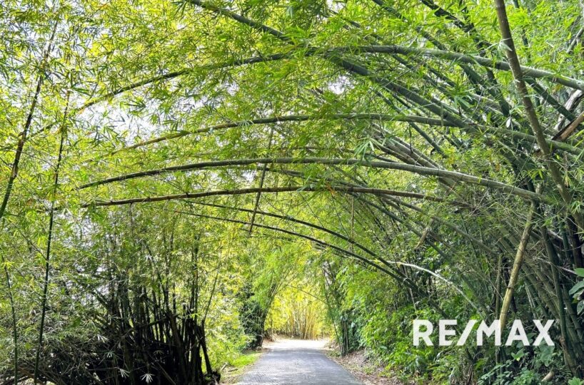 Homes for sale in Punta Leona Costa Rica