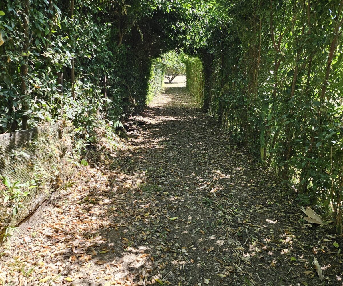 Building Lots for sale in Hermosa Beach Costa Rica