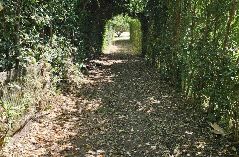 Building Lots for sale in Hermosa Beach Costa Rica