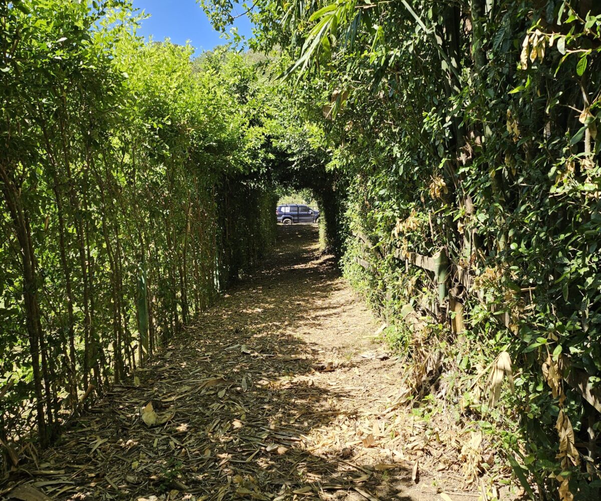 Building Lots for sale in Hermosa Beach Costa Rica