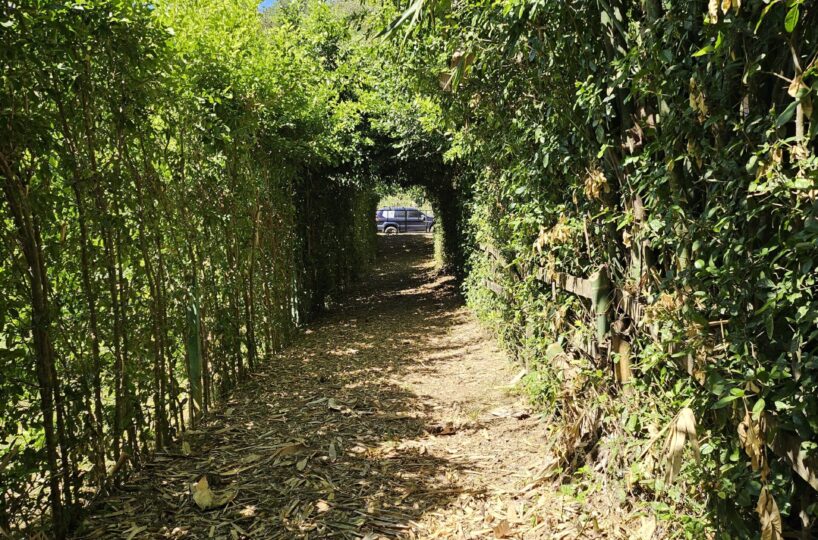 Building Lots for sale in Hermosa Beach Costa Rica