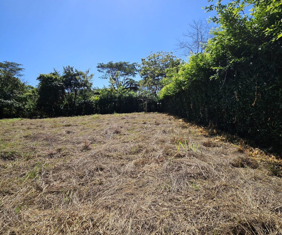 Building Lots for sale in Hermosa Beach Costa Rica
