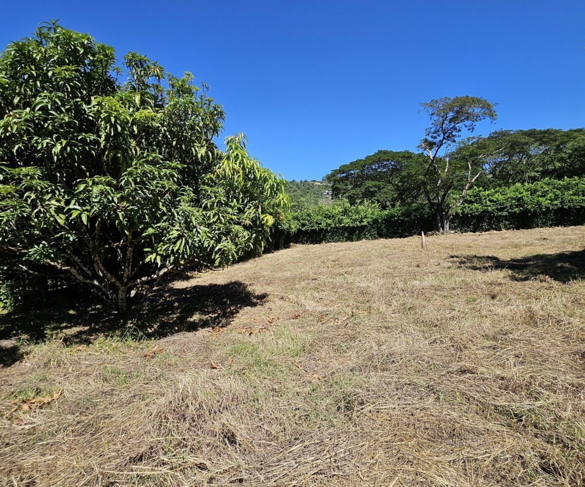 Building Lots for sale in Hermosa Beach Costa Rica