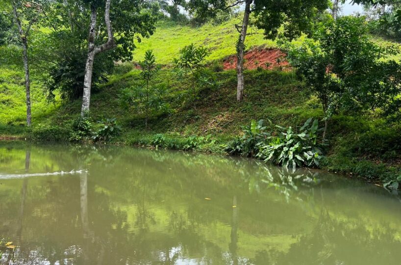 Building Lots for sale in Bijagual Costa Rica